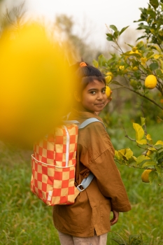 Sticky Lemon Rucksack kariert Pear Jam